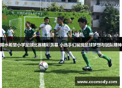 陵水希望小学足球比赛精彩落幕 小选手们展现足球梦想与团队精神